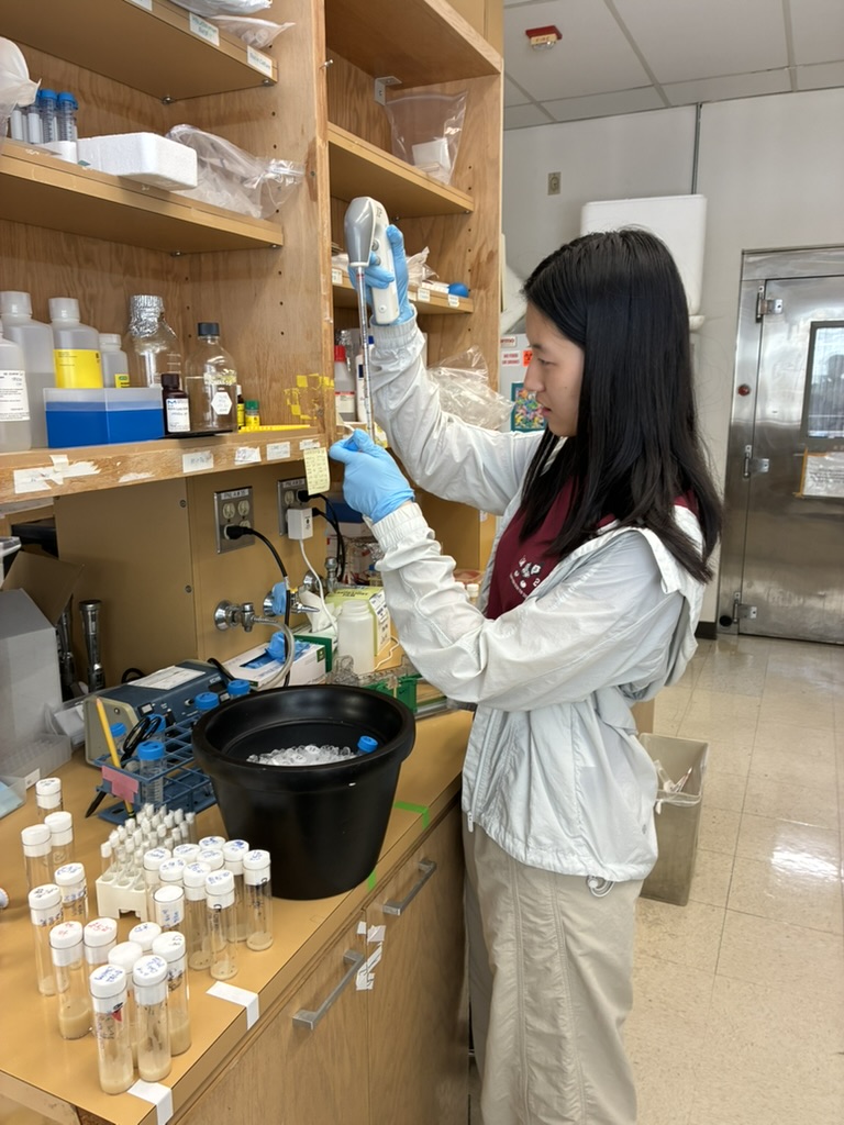 Angela using a pipette at Stanford's Lu Lab